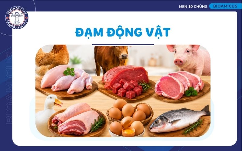 Trẻ sơ sinh bị đầy bụng mẹ n&ecirc;n ăn đạm động vật thay v&igrave; đạm thực vật