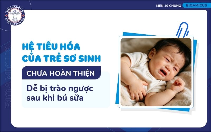 Hệ ti&ecirc;u h&oacute;a chưa ho&agrave;n thiện khiến trẻ dễ tr&agrave;o ngược