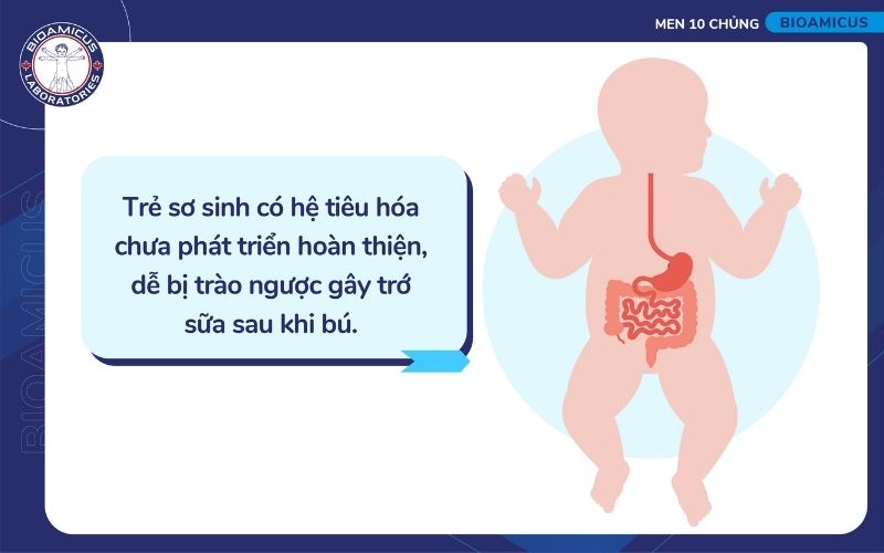 Hệ ti&ecirc;u h&oacute;a chưa ho&agrave;n thiện khiến trẻ dễ tr&agrave;o ngược