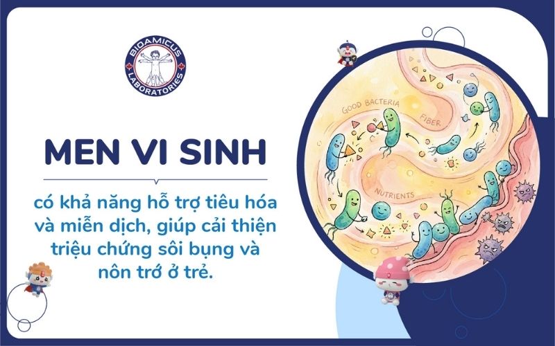 Bổ sung men vi sinh c&oacute; thể cải thiện ti&ecirc;u h&oacute;a v&agrave; miễn dịch