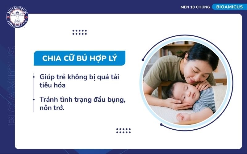 Chia cữ b&uacute; hợp l&yacute;