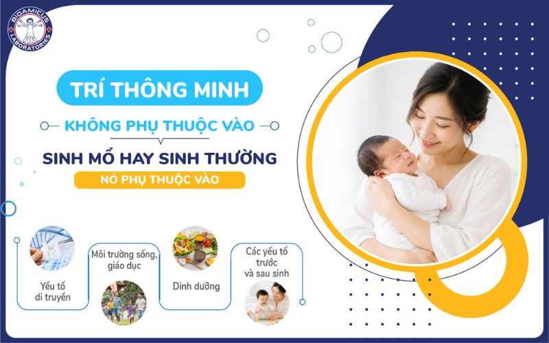 tr&iacute; th&ocirc;ng minh kh&ocirc;ng phụ thuộc v&agrave;o phương thức sinh