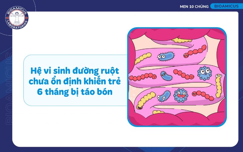 Trẻ 6 th&aacute;ng tuổi c&oacute; hệ vi sinh đường ruột chưa ổn định dễ bị t&aacute;o b&oacute;n 