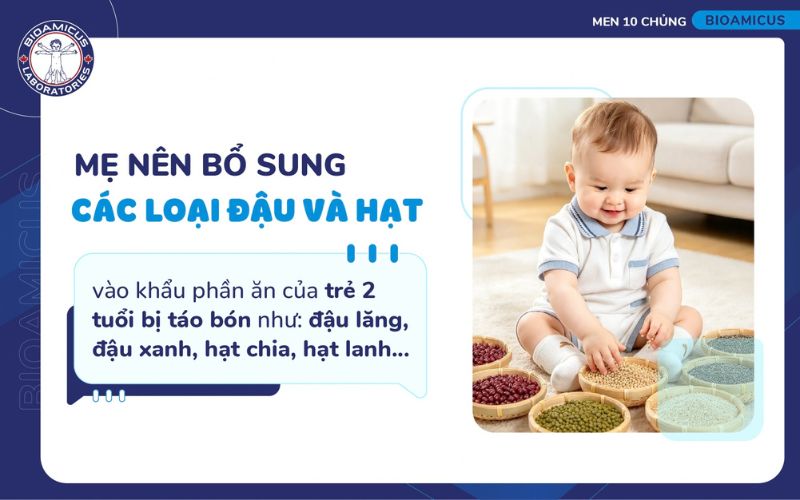 Trẻ 2 tuổi n&ecirc;n bổ sung c&aacute;c loại đậu v&agrave; hạt v&agrave;o khẩu phần ăn khi bị t&aacute;o b&oacute;n