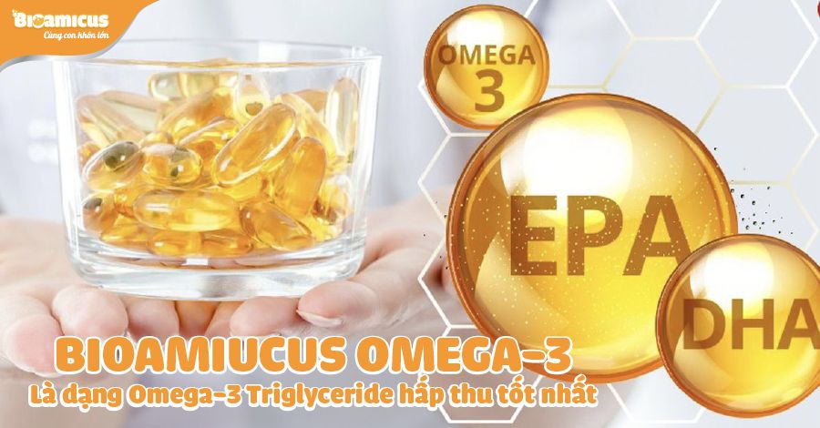 Bioamicus Omega-3 là dạng Omega-3 Triglyceride hấp thu tốt nhất