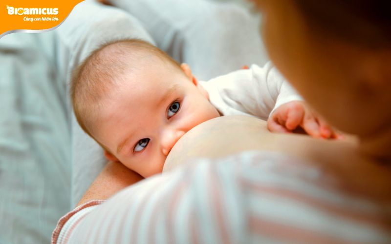 tăng cường sữa mẹ để bổ sung DHA cho trẻ 0-6 tháng tuổi