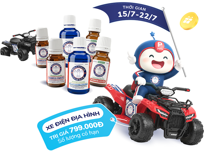 Đại tiệc mua 6 tặng 1