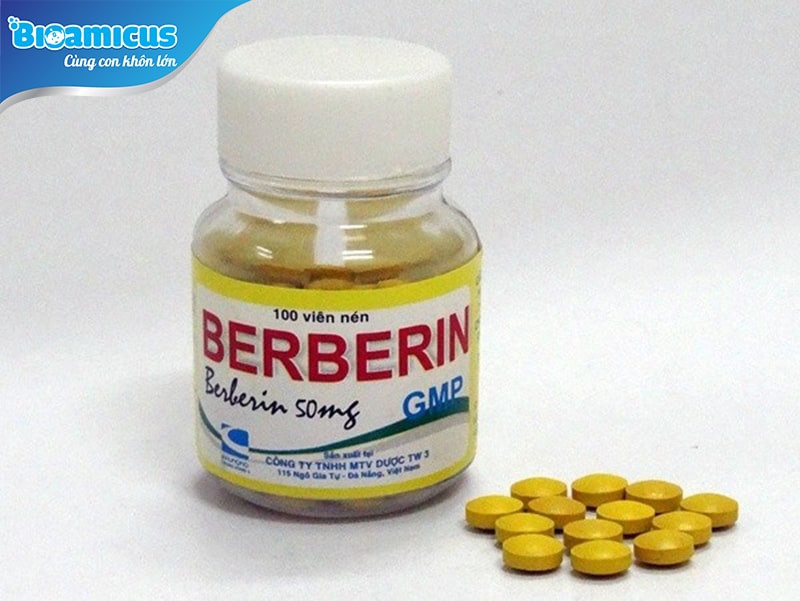 Lưu ý dùng thuốc tiêu chảy berberin
