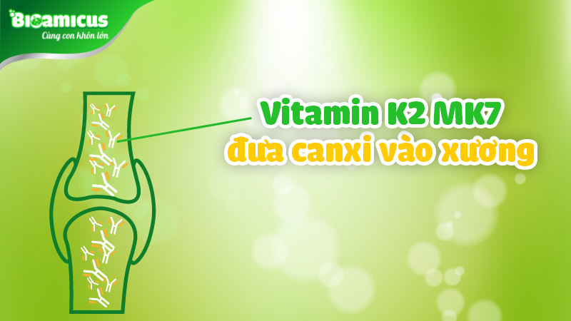 tác dụng vitamin k2 mk7
