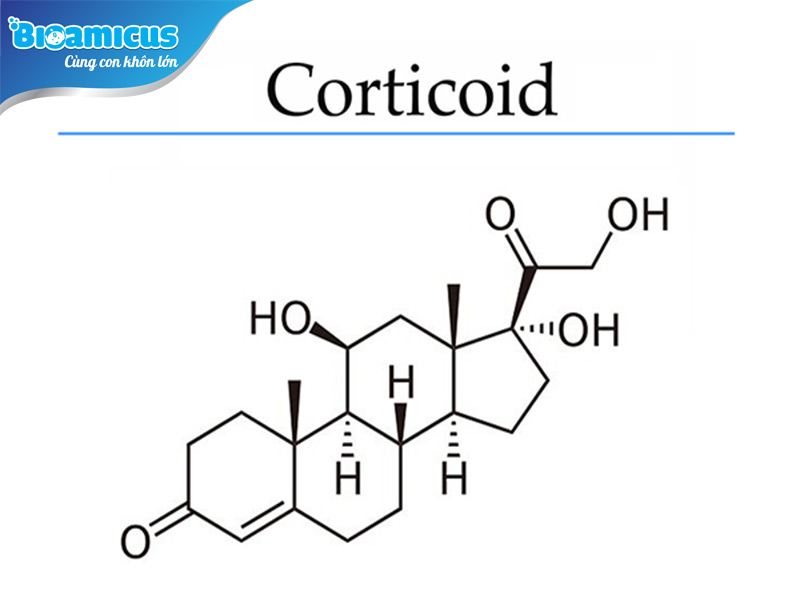 Thuốc kích thích ăn chứa thành phần corticoid