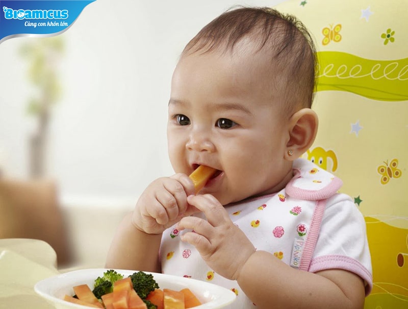 Trẻ thích cầm, ném thức ăn là nguyên nhân giai đoạn biếng ăn sinh lý ở trẻ 9 tháng