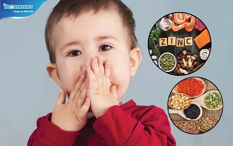 Trẻ biếng ăn có nên bổ sung kẽm từ thực phẩm không