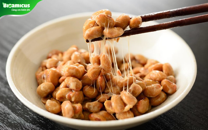 K2MK7 tăng chiều cao trong đậu lên men natto