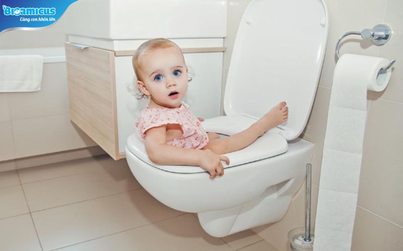 Luyện tập thói quen đi vệ sinh cho trẻ sơ sinh