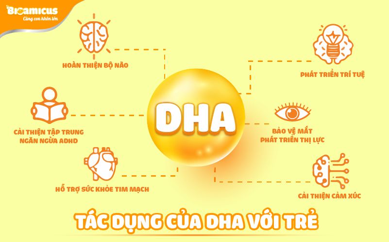 các vai trò của DHA