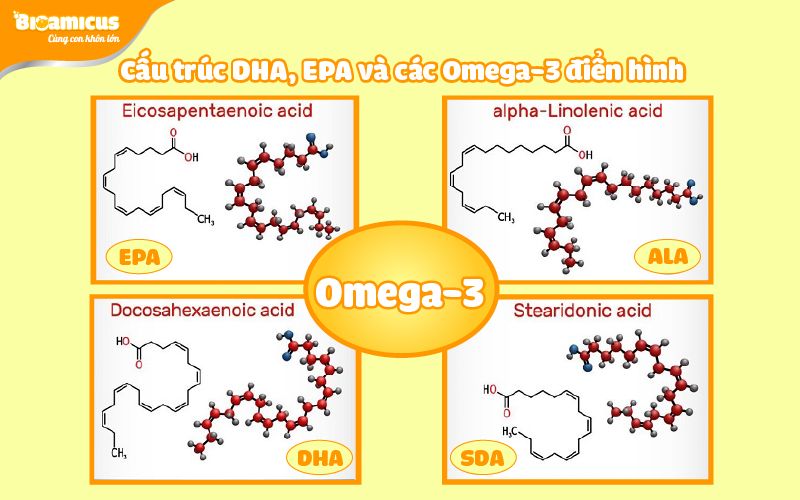 cấu trúc DHA, EPA và các Omega-3 phổ biến