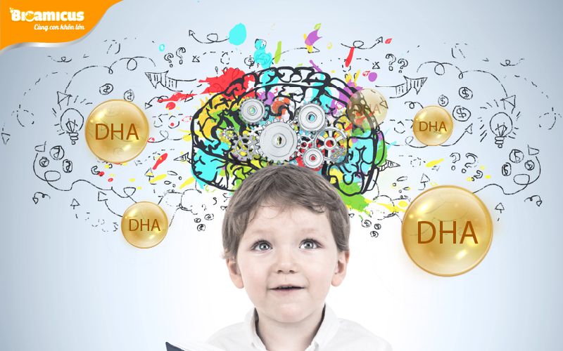 tác dụng của DHA giúp bổ não